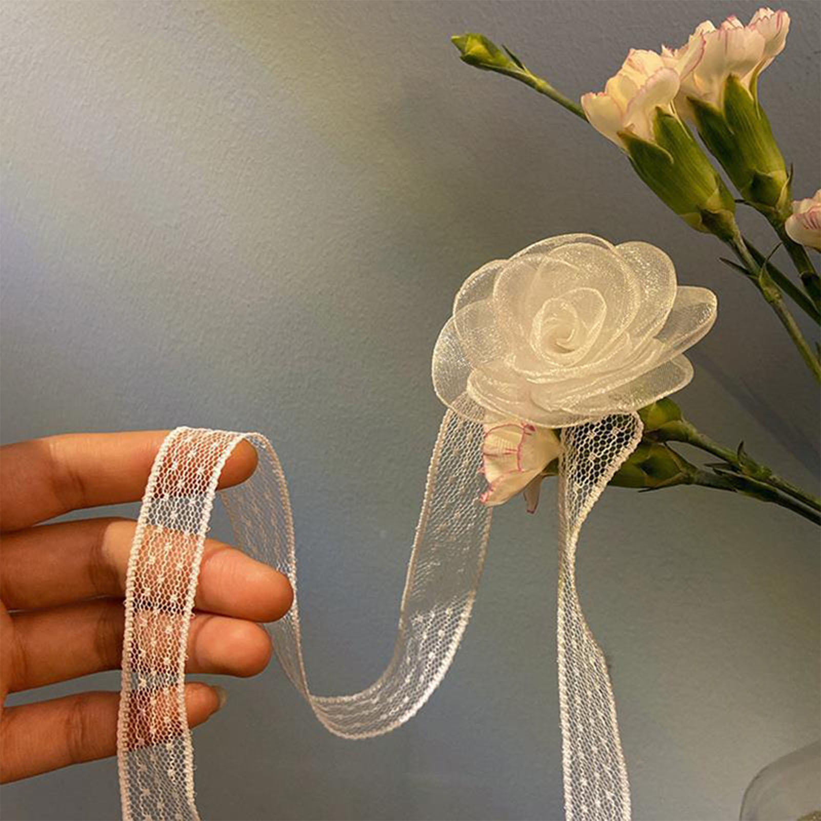 Kanten lintband met roosdecora - Lace Ribbon Trim recensie en prijs